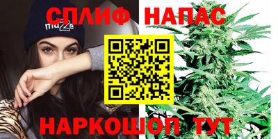 наркотики Кингисепп