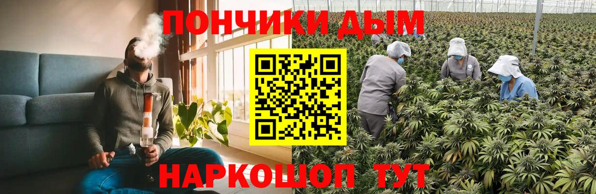 МАРИХУАНА сатива Крымск